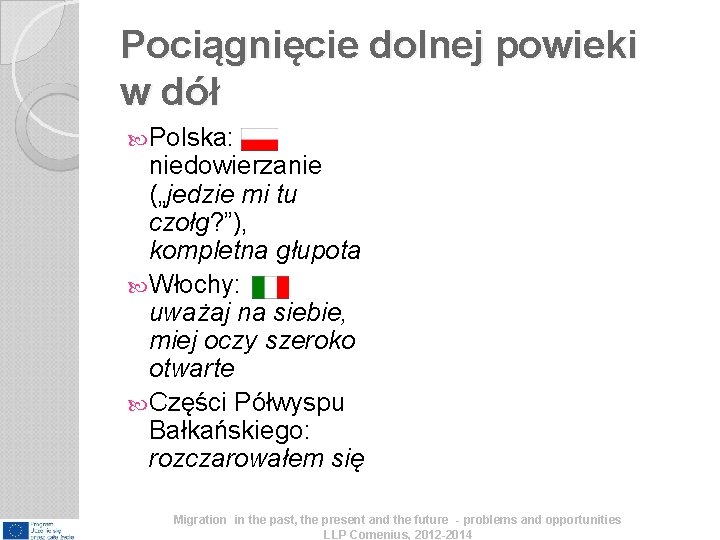 Pociągnięcie dolnej powieki w dół Polska: niedowierzanie („jedzie mi tu czołg? ”), kompletna głupota Pociągnięcie dolnej powieki w dół Polska: niedowierzanie („jedzie mi tu czołg? ”), kompletna głupota