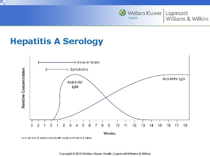 Hepatitis A Serology Copyright © 2010 Wolters Kluwer Health | Lippincott Williams & Wilkins