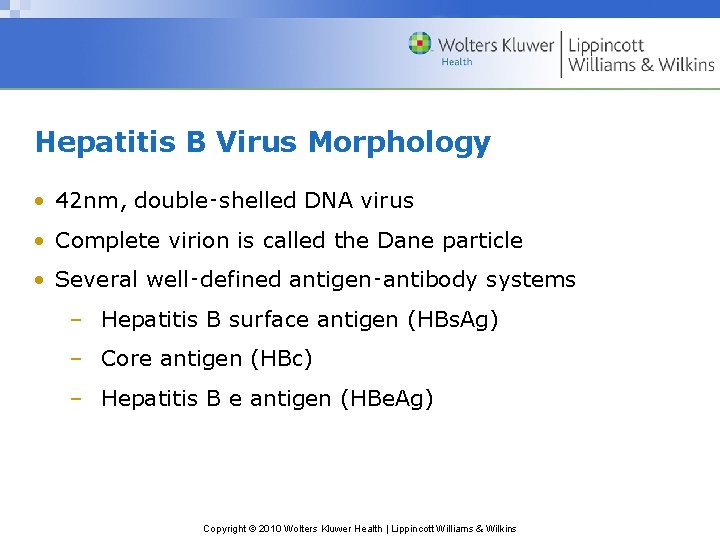 Hepatitis B Virus Morphology • 42 nm, double‑shelled DNA virus • Complete virion is