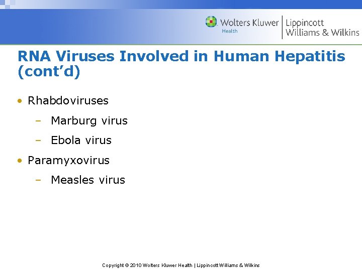 RNA Viruses Involved in Human Hepatitis (cont’d) • Rhabdoviruses – Marburg virus – Ebola