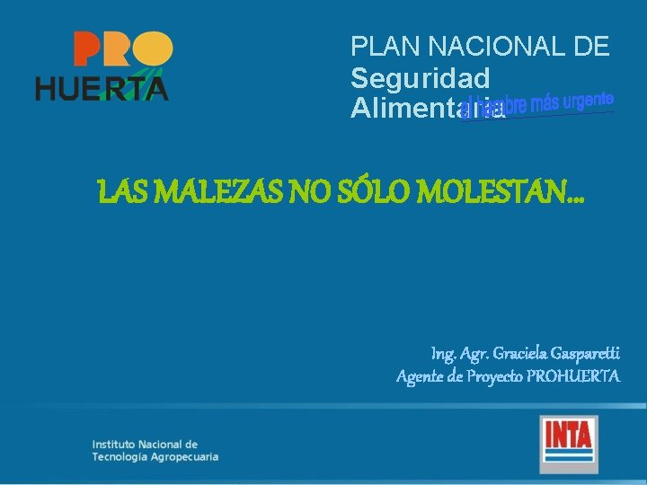 PLAN NACIONAL DE Seguridad Alimentaria LAS MALEZAS NO SÓLO MOLESTAN… Ing. Agr. Graciela Gasparetti