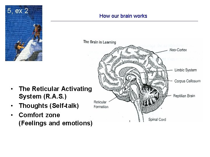 5, ex 2 • The Reticular Activating System (R. A. S. ) • Thoughts 5, ex 2 • The Reticular Activating System (R. A. S. ) • Thoughts