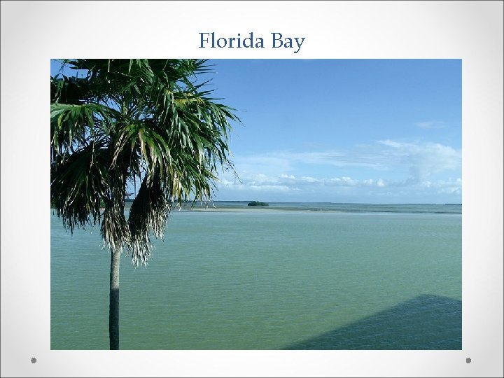 Florida Bay 