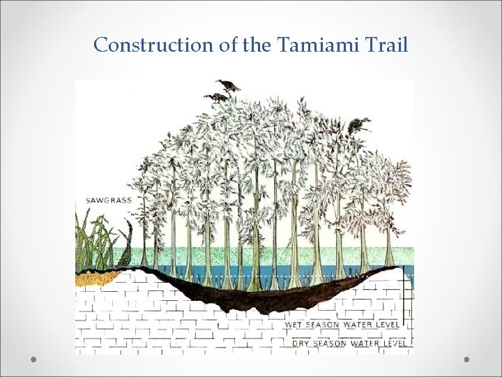 Construction of the Tamiami Trail 