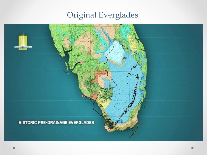 Original Everglades 