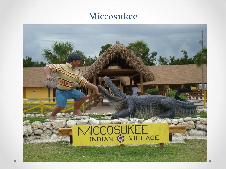 Miccosukee 