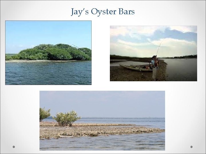 Jay’s Oyster Bars 