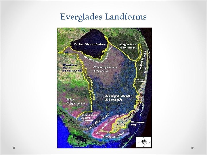Everglades Landforms 