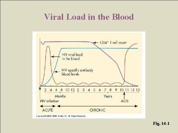 Viral Load in the Blood Fig. 14 -1 