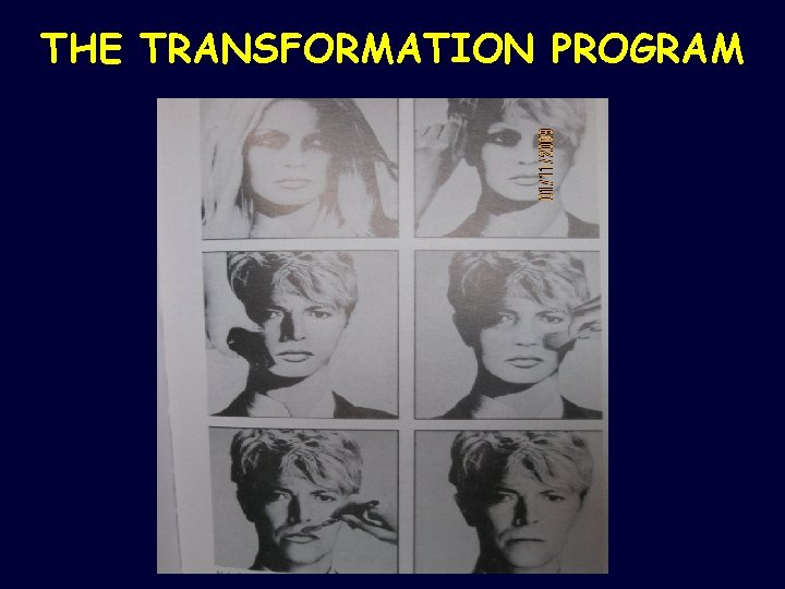 THE TRANSFORMATION PROGRAM 