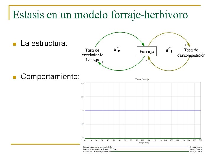 Estasis en un modelo forraje-herbivoro n La estructura: n Comportamiento: 