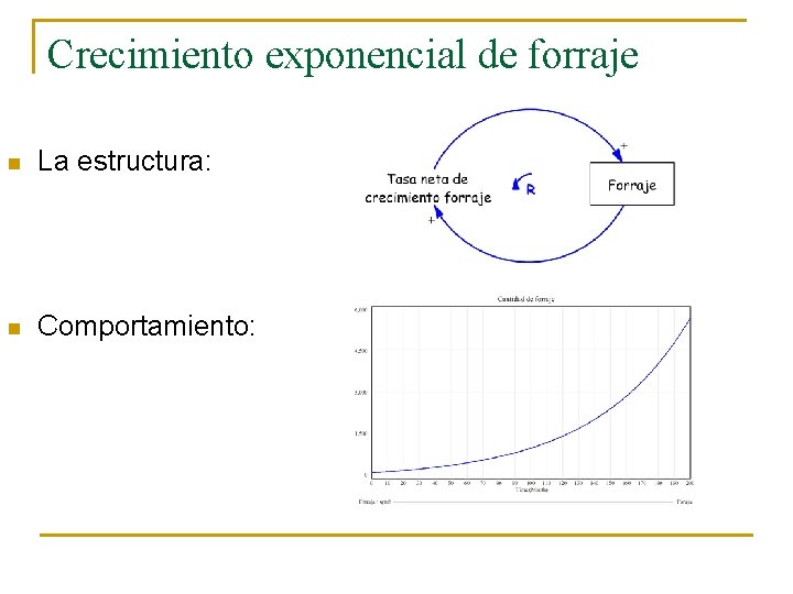 Crecimiento exponencial de forraje n La estructura: n Comportamiento: 