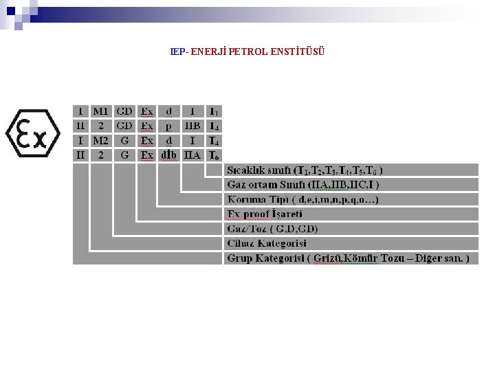 IEP- ENERJİ PETROL ENSTİTÜSÜ 