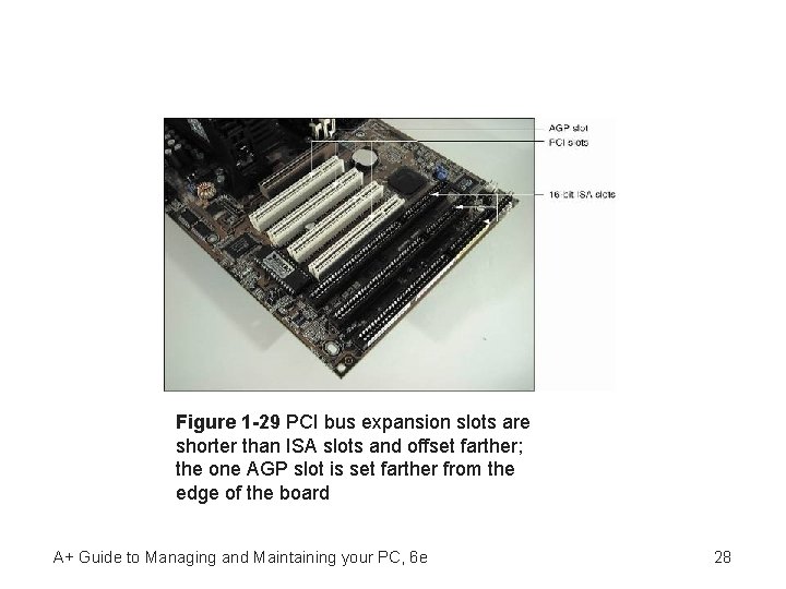 Figure 1 -29 PCI bus expansion slots are shorter than ISA slots and offset