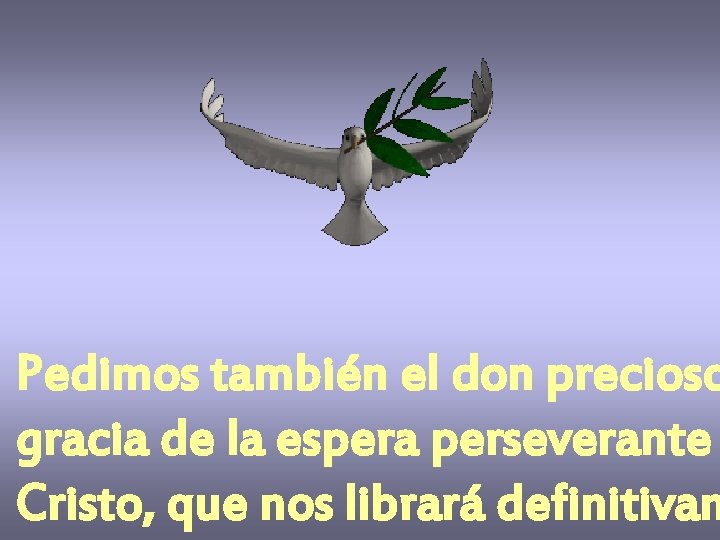 Pedimos también el don precioso gracia de la espera perseverante Cristo, que nos librará