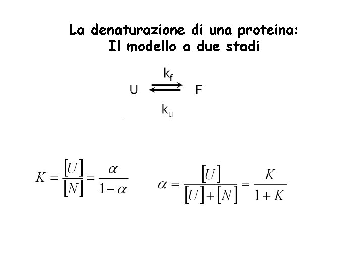 La denaturazione di una proteina: Il modello a due stadi 
