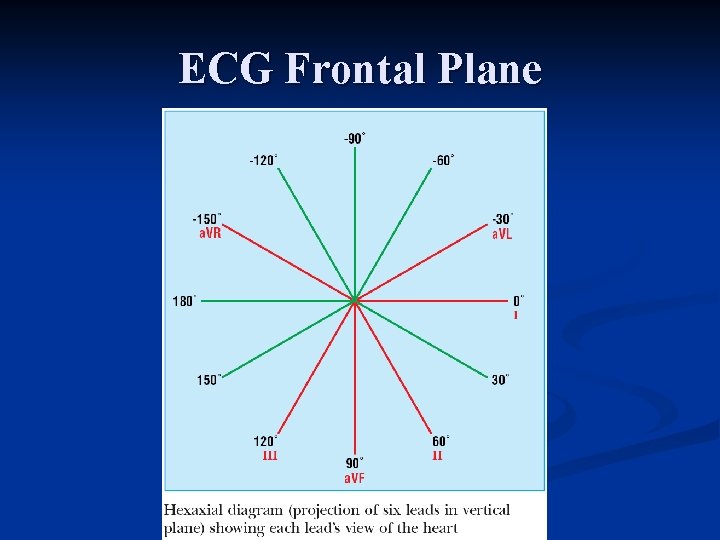 ECG Frontal Plane 