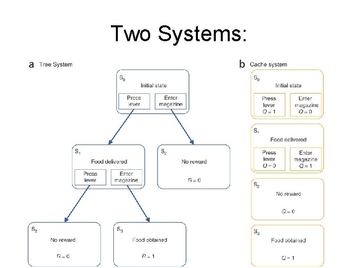 Two Systems: 