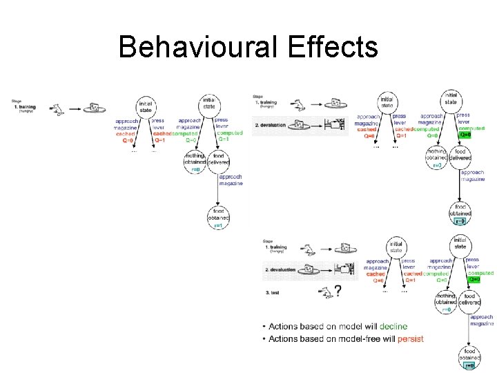 Behavioural Effects 