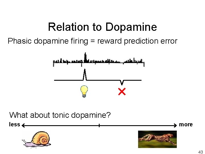 Relation to Dopamine Phasic dopamine firing = reward prediction error What about tonic dopamine?