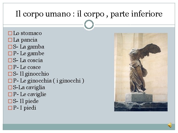 Il corpo umano : il corpo , parte inferiore � Lo stomaco � La