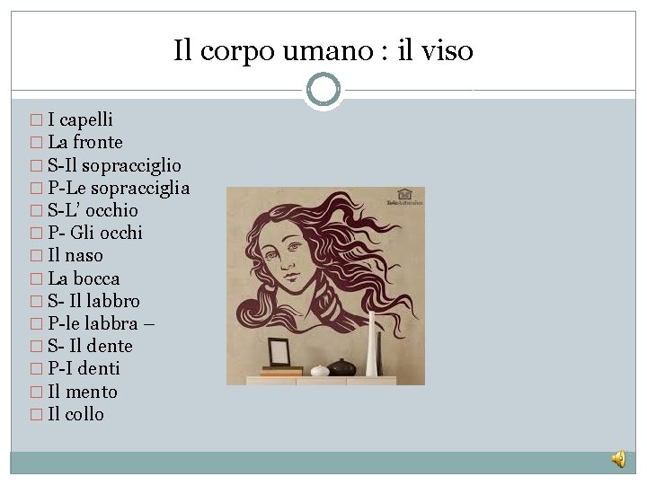 Il corpo umano : il viso � I capelli � La fronte � S-Il