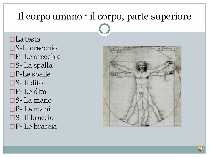Il corpo umano : il corpo, parte superiore �La testa �S-L’ orecchio �P- Le