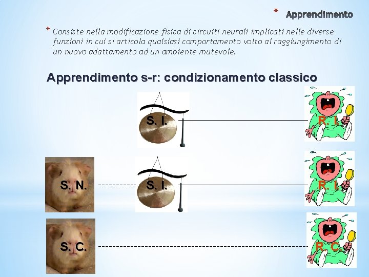 * * Consiste nella modificazione fisica di circuiti neurali implicati nelle diverse funzioni in * * Consiste nella modificazione fisica di circuiti neurali implicati nelle diverse funzioni in