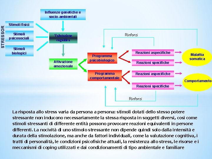 STRESSOR Influenze genetiche e socio-ambientali Stimoli fisici Stimoli psicosociali Rinforzi Valutazione cognitiva Stimoli biologici STRESSOR Influenze genetiche e socio-ambientali Stimoli fisici Stimoli psicosociali Rinforzi Valutazione cognitiva Stimoli biologici
