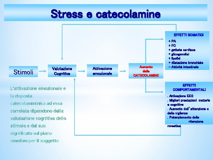 Stress e catecolamine EFFETTI SOMATICI Stimoli Valutazione Cognitiva L’attivazione emozionale e la risposta catecolamminica Stress e catecolamine EFFETTI SOMATICI Stimoli Valutazione Cognitiva L’attivazione emozionale e la risposta catecolamminica