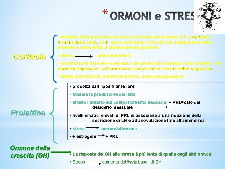 * • prodotto dalle ghiandole surrenali (corticale del surrene), è il principale ormone dello * • prodotto dalle ghiandole surrenali (corticale del surrene), è il principale ormone dello