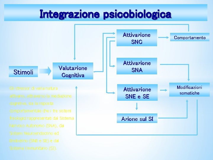 Integrazione psicobiologica Attivazione SNC Stimoli Valutazione Cognitiva Gli stressor di varia natura attivano, attraverso Integrazione psicobiologica Attivazione SNC Stimoli Valutazione Cognitiva Gli stressor di varia natura attivano, attraverso