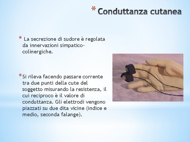 * * La secrezione di sudore è regolata da innervazioni simpaticocolinergiche. * Si rileva * * La secrezione di sudore è regolata da innervazioni simpaticocolinergiche. * Si rileva