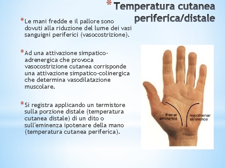 * * Le mani fredde e il pallore sono dovuti alla riduzione del lume * * Le mani fredde e il pallore sono dovuti alla riduzione del lume