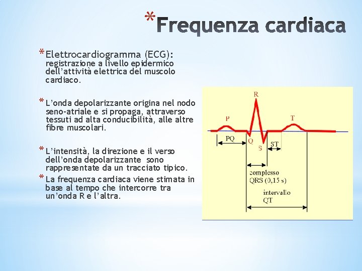 * * Elettrocardiogramma (ECG): registrazione a livello epidermico dell’attività elettrica del muscolo cardiaco. * * * Elettrocardiogramma (ECG): registrazione a livello epidermico dell’attività elettrica del muscolo cardiaco. *