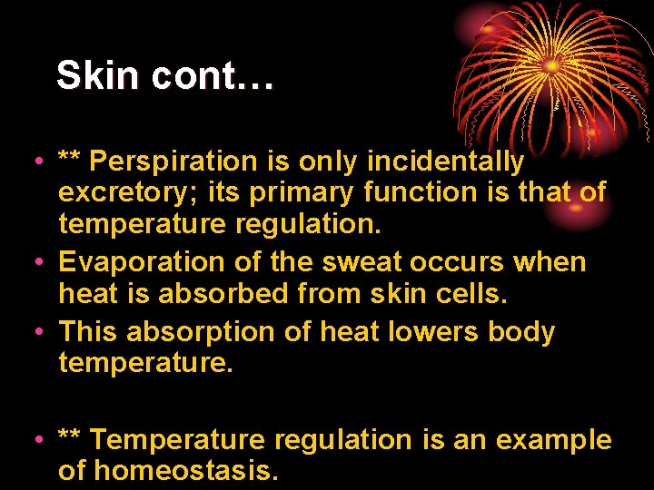 Skin cont… • ** Perspiration is only incidentally excretory; its primary function is that
