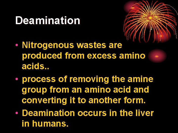 Deamination • Nitrogenous wastes are produced from excess amino acids. . • process of