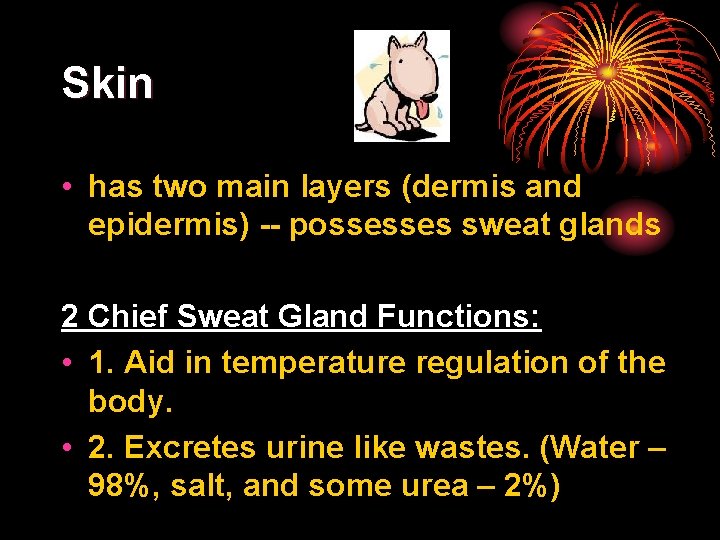 Skin • has two main layers (dermis and epidermis) -- possesses sweat glands 2