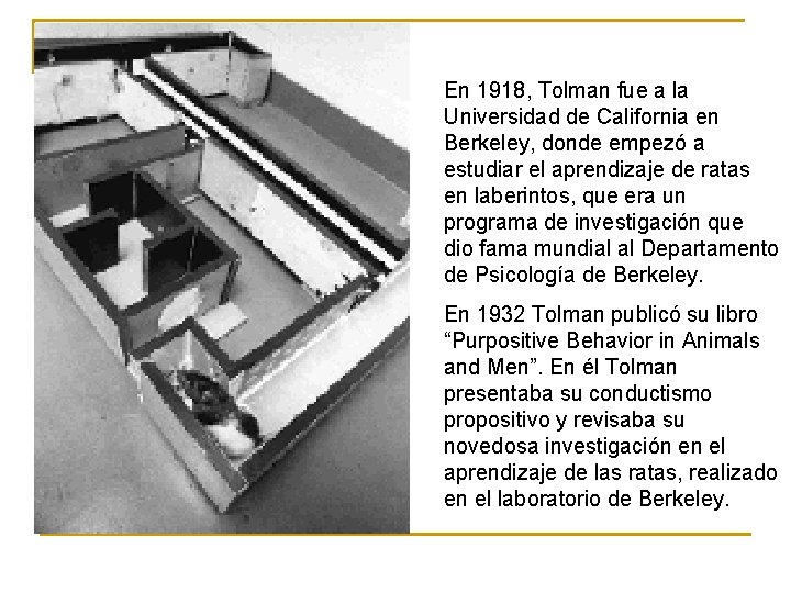 En 1918, Tolman fue a la Universidad de California en Berkeley, donde empezó a