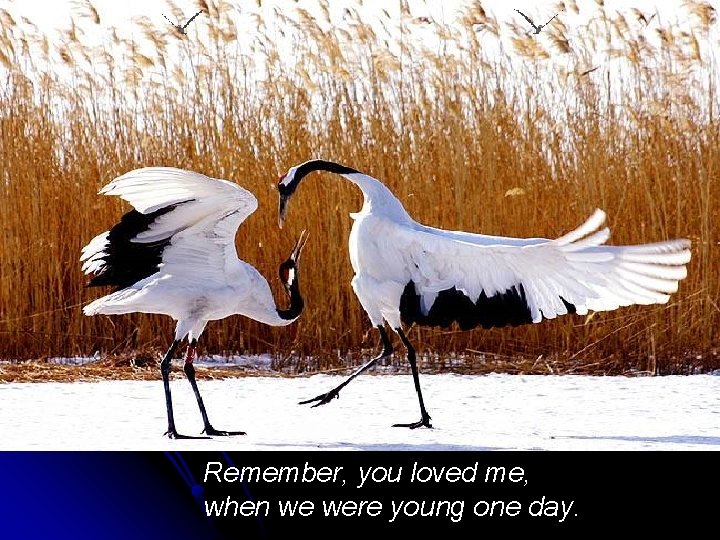 Remember, you loved me, when we were young one day. 