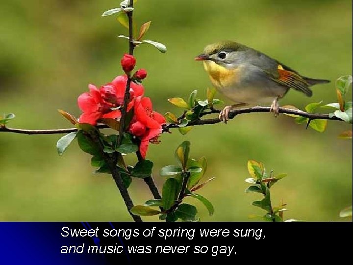 Sweet songs of spring were sung, and music was never so gay, 