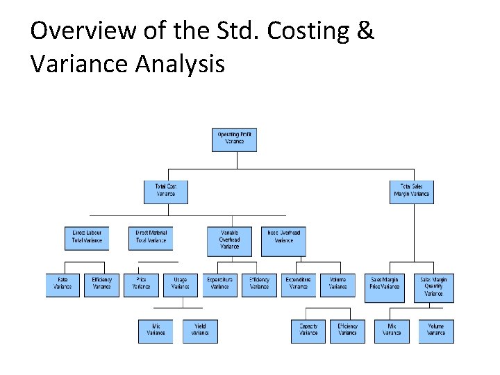 Overview of the Std. Costing & Variance Analysis 