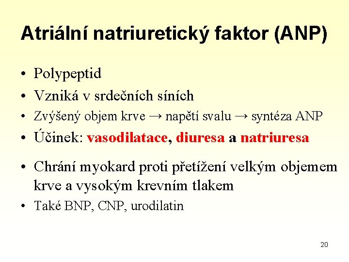 Atriální natriuretický faktor (ANP) • Polypeptid • Vzniká v srdečních síních • Zvýšený objem