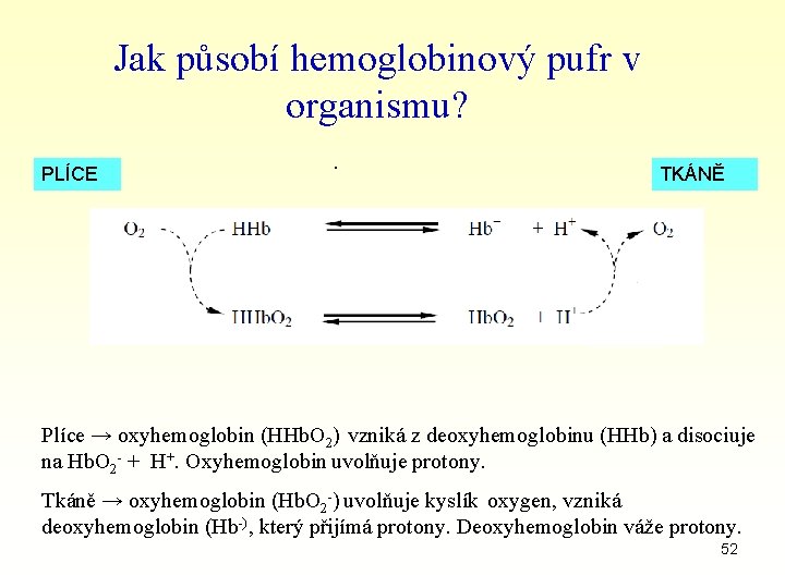 Jak působí hemoglobinový pufr v organismu? PLÍCE . TKÁNĚ . Plíce → oxyhemoglobin (HHb.