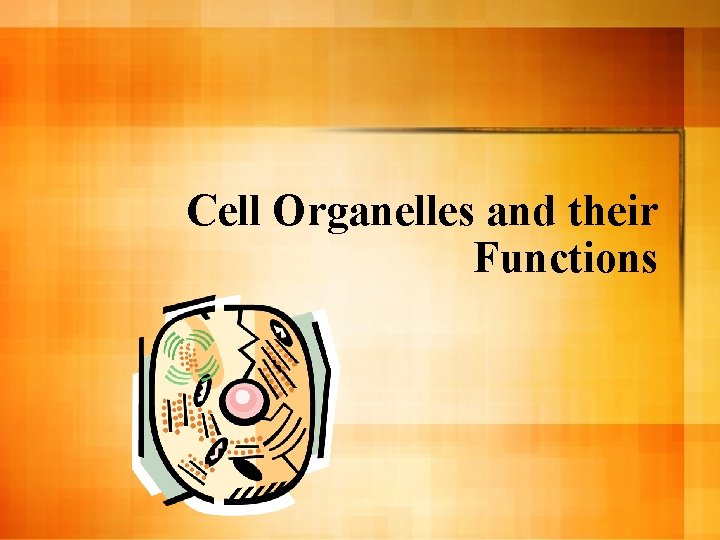 Cell Organelles and their Functions 