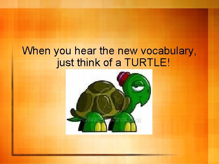 When you hear the new vocabulary, just think of a TURTLE! 