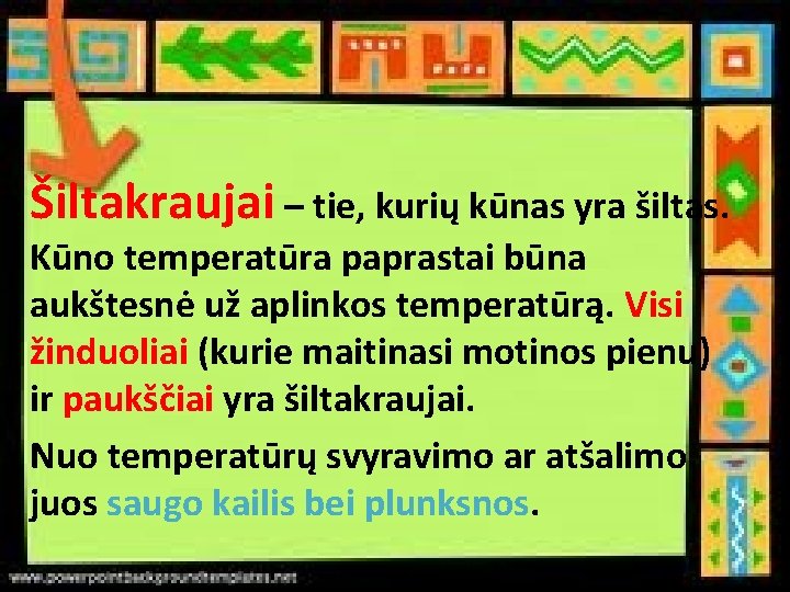 Šiltakraujai – tie, kurių kūnas yra šiltas. Kūno temperatūra paprastai būna aukštesnė už aplinkos