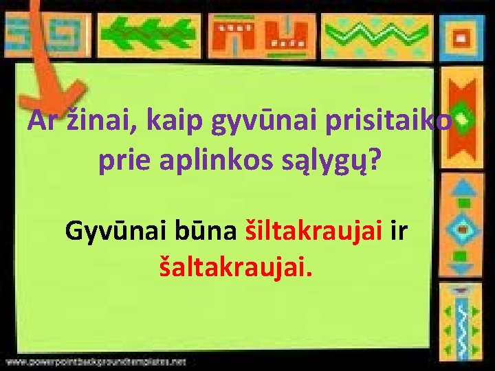 Ar žinai, kaip gyvūnai prisitaiko prie aplinkos sąlygų? Gyvūnai būna šiltakraujai ir šaltakraujai. 