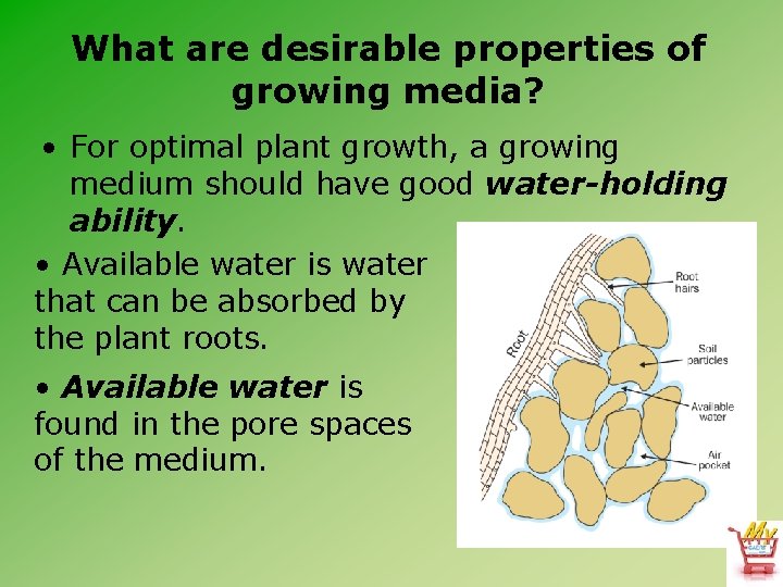 What are desirable properties of growing media? • For optimal plant growth, a growing