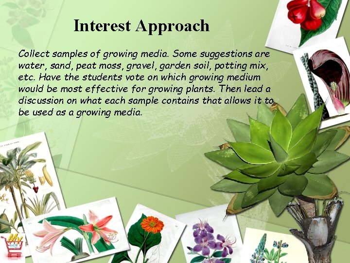 Interest Approach Collect samples of growing media. Some suggestions are water, sand, peat moss,